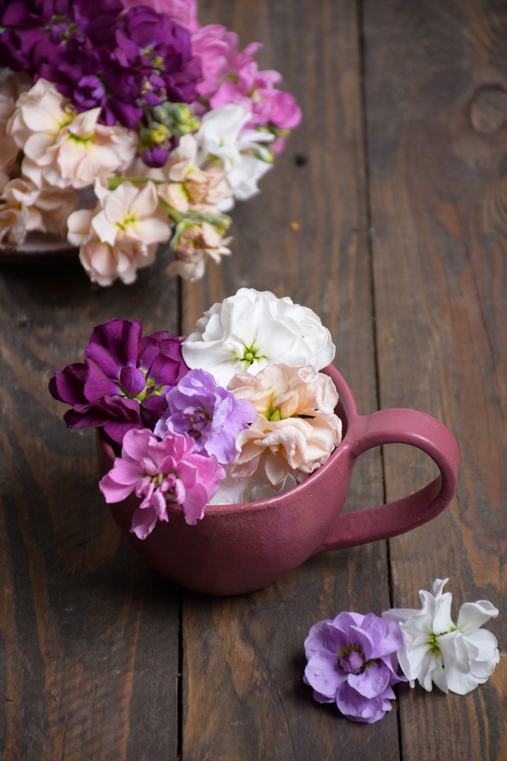 lewkonie w filiżankach